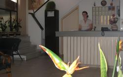 Hippocampus Hotel