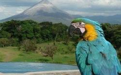 Hotel Arenal Lodge