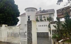 Hang Nga Villa