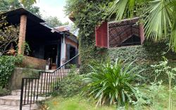 SON HOME GARDEN
