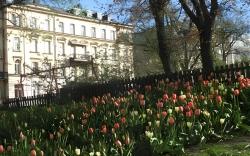 Hotel Bema
