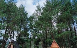 Bukit Pinus Paseban Camp 