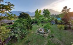 Tiger Paw Resort 