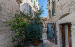 Apartment Sweet Nest