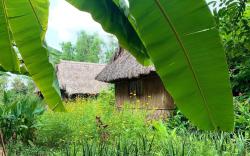 Saigon Garden Homestay 