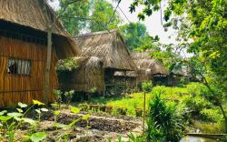 Saigon Garden Homestay 