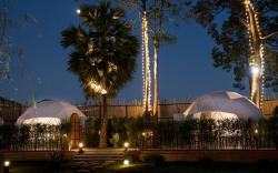 papa q suite resorts