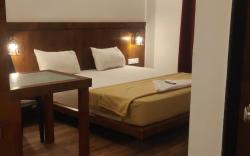Hotel anvisha executive