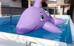 Melaka homestay pool,ktv,billiard De Starry Villa