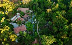 Green Tree Resort