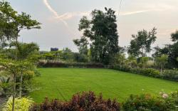 mamta farm