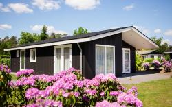 Chalet in Netherlands by Scenic Pond