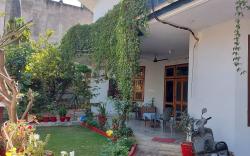 TRAVEL CURIOSITY HOMESTAY