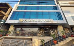 Hotel Hibiscus Tree-Bachupally