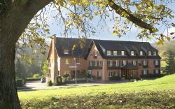 Hotel Restaurant des Vosges