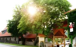 Hotel und Restaurant Am Peenetal