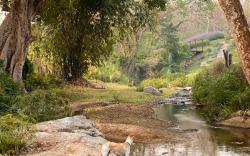 Mae Ram Residence at 98