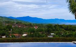 The Dharma lovina villa