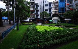 Brand New Cozy Home in the heart of Saigon
