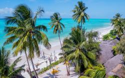 Beach Bungalows