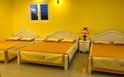 Thu Linh homestay