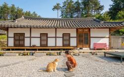 Gangneung ggabinejip hanok pension