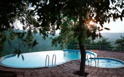 Cashew Leaf Resort