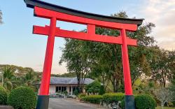 Suanphung Bonsai Village