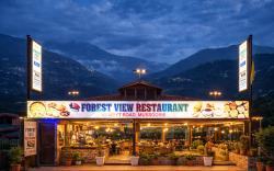Hotel Forest View and Restaurant