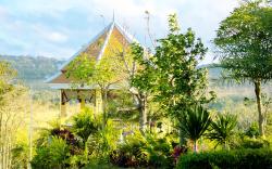 KNN Luxury Hill