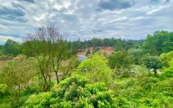 Hilltop