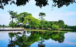 Cyberjaya Eclipse 5+2 PAX Suite + Roof Top Pool