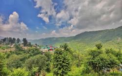 Homz in Valley