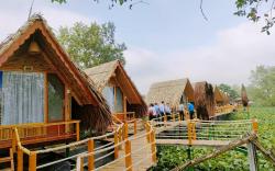 Coco Island
