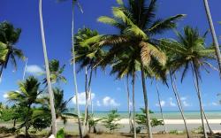 Praiagogi Boutique Pousada