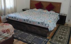 lemon eco huts kasauli