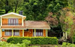 The Orange Home