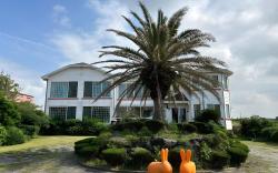Jeju Ddoolle Pension