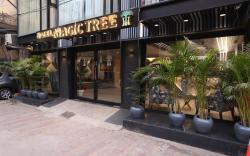 Hotel The Magic Tree - Paharganj