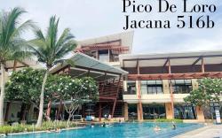 Pico de Loro Jacana 516B