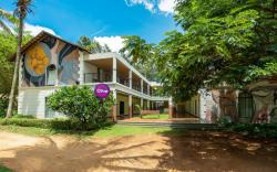 Olive Farm @ Embassy International Riding School