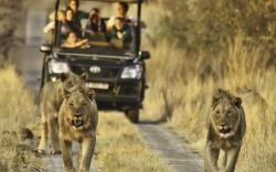 Morokolo Safari Lodge