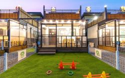 Gapyeong Dangdangi Dog Pension Purple