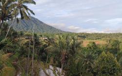 Gunza Bed and Breakfast