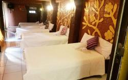 Long Room for 10 people Miggys Resort