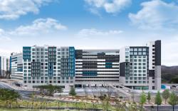 Pyeonchang The White Hotel