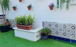 Costa Marbella Star Light