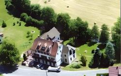 Logis Hotel Des Vosges