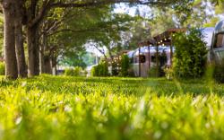 天成逸旅-朋趣豪華露營