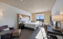 Holiday Inn Chicago Tinley Park By IHG